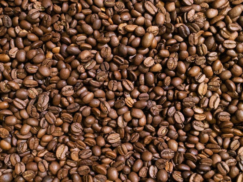 Ibis budget Berlin Potsdamer Platz - Resim 41