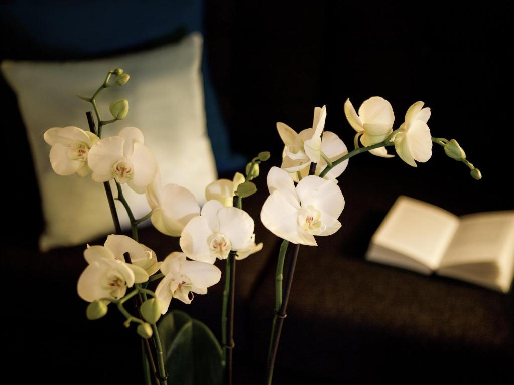 Pullman London St Pancras - Resim 16