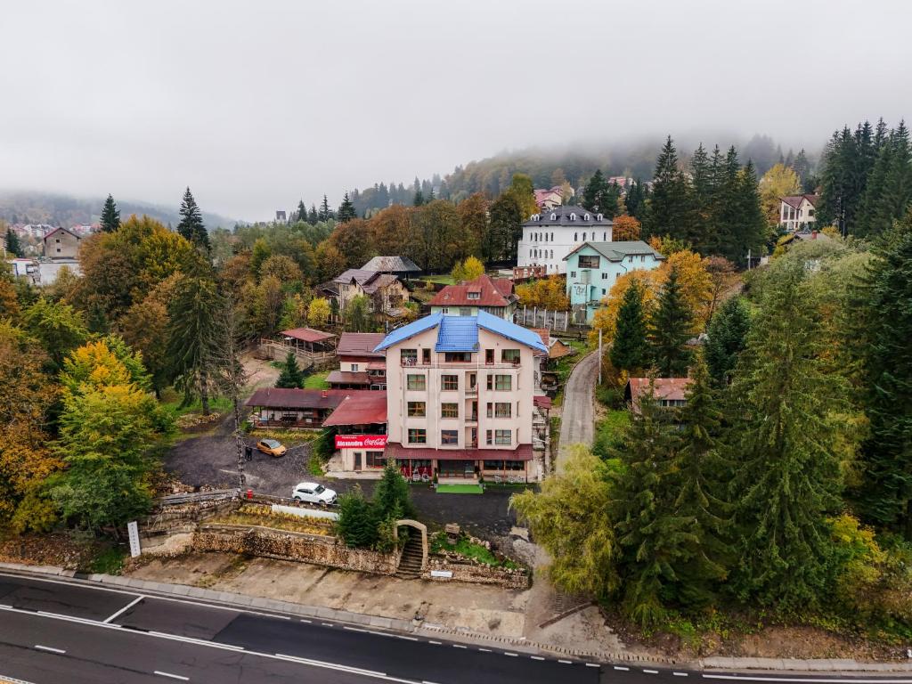 an aerial view of a town in the mountains at Pensiunea Alexandra in Predeal