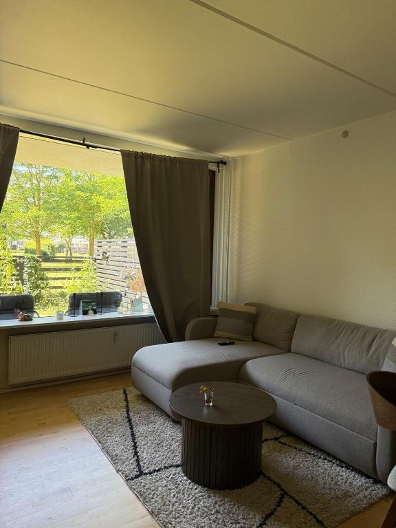 a living room with a couch and a table at Studio apartment in Central Copenhagen in Copenhagen