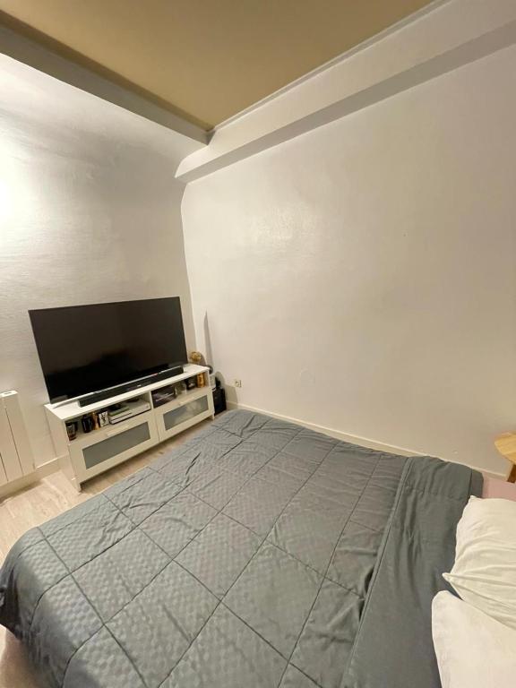 Un dormitorio con una cama y un televisor de pantalla plana. en Studio équipé et lumineux à Plombières-lès-Dijon, proche Dijon, en Plombières-lès-Dijon