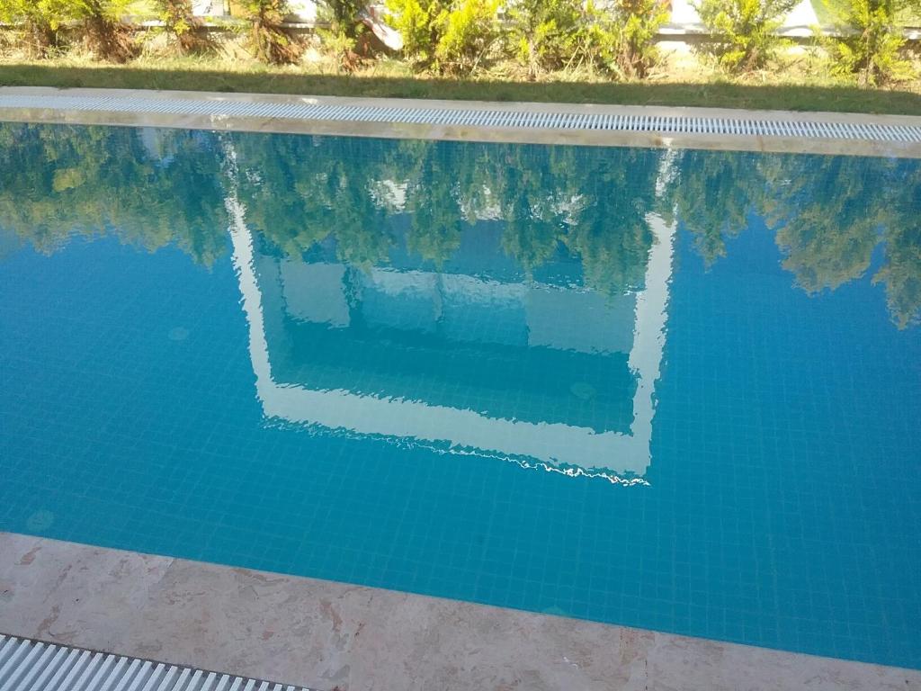 Villa Palm23