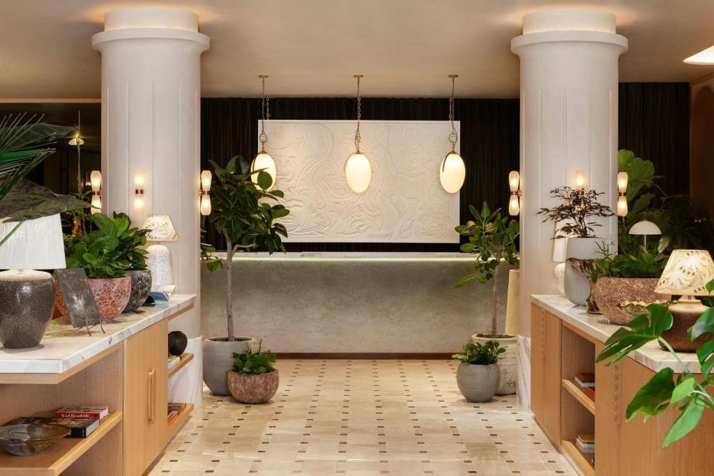 Montcalm Mayfair, Autograph Collection - Resim 10