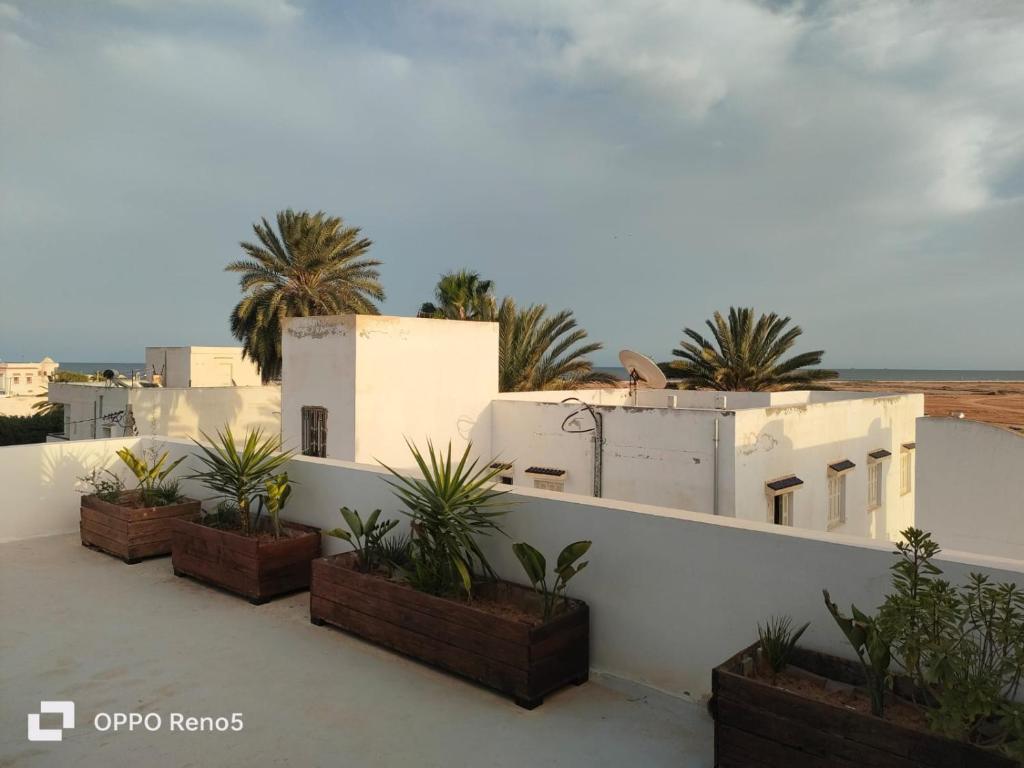 Φωτογραφία από το άλμπουμ του Mimi σε Σφαξ