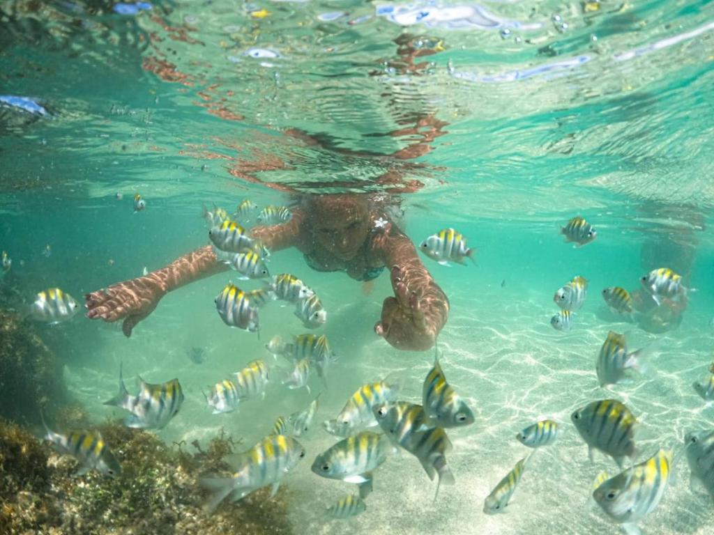 Natuurlandschap vlak bij het appartement