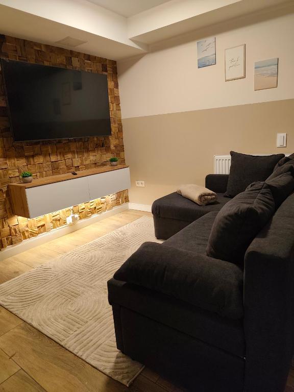 ジークブルクにあるAmaleo Apartments Siegburgのソファ2脚と薄型テレビのあるリビングルーム