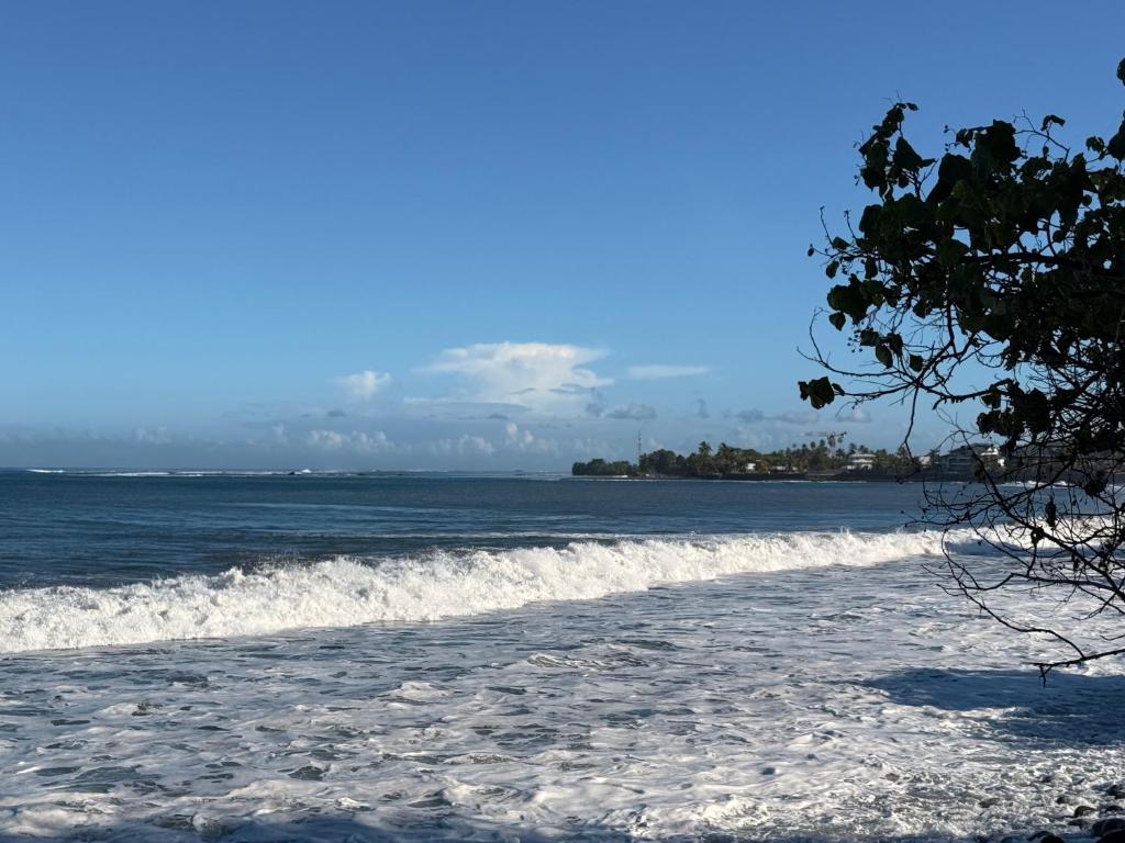 Arbre a pain Beach Lodge - photo 9 - Tahiti, Polynésie