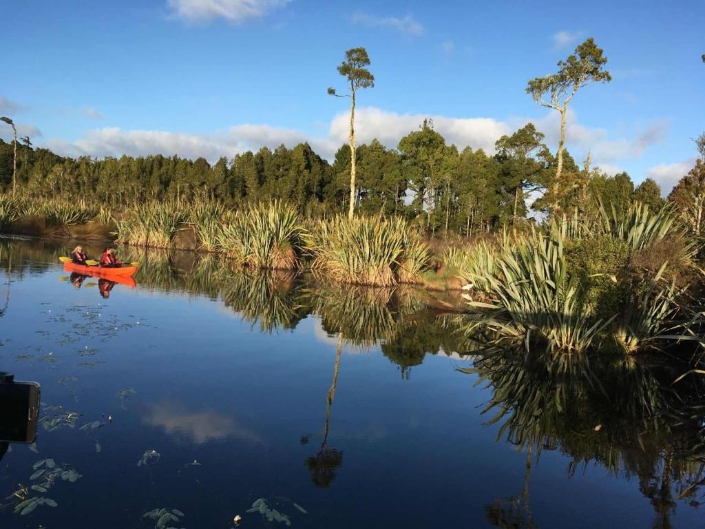 Hokitika - Blue Spur Bed and Breakfast - Resim 39