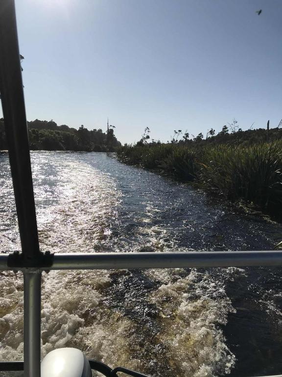 Hokitika - Blue Spur Bed and Breakfast - Resim 32