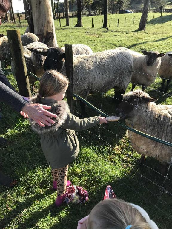 Hokitika - Blue Spur Bed and Breakfast - Resim 24