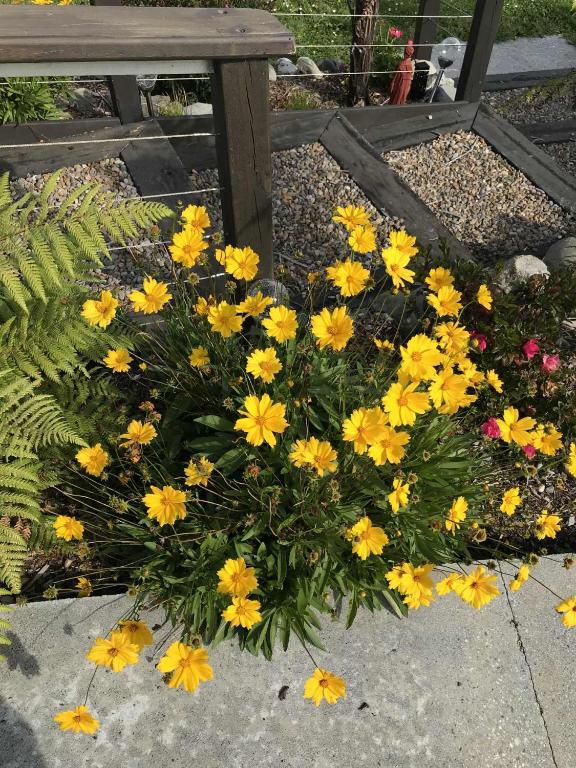 Hokitika - Blue Spur Bed and Breakfast - Resim 27