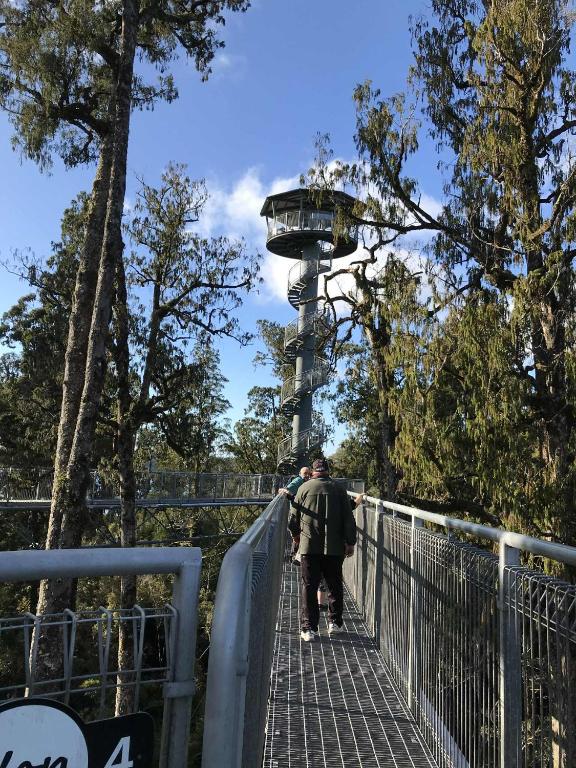 Hokitika - Blue Spur Bed and Breakfast - Resim 29