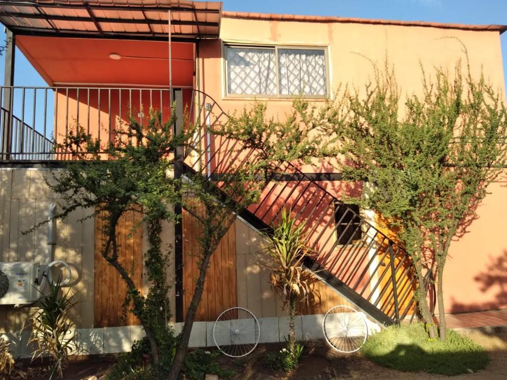 Κήπος έξω από το Hostal sra Carmen