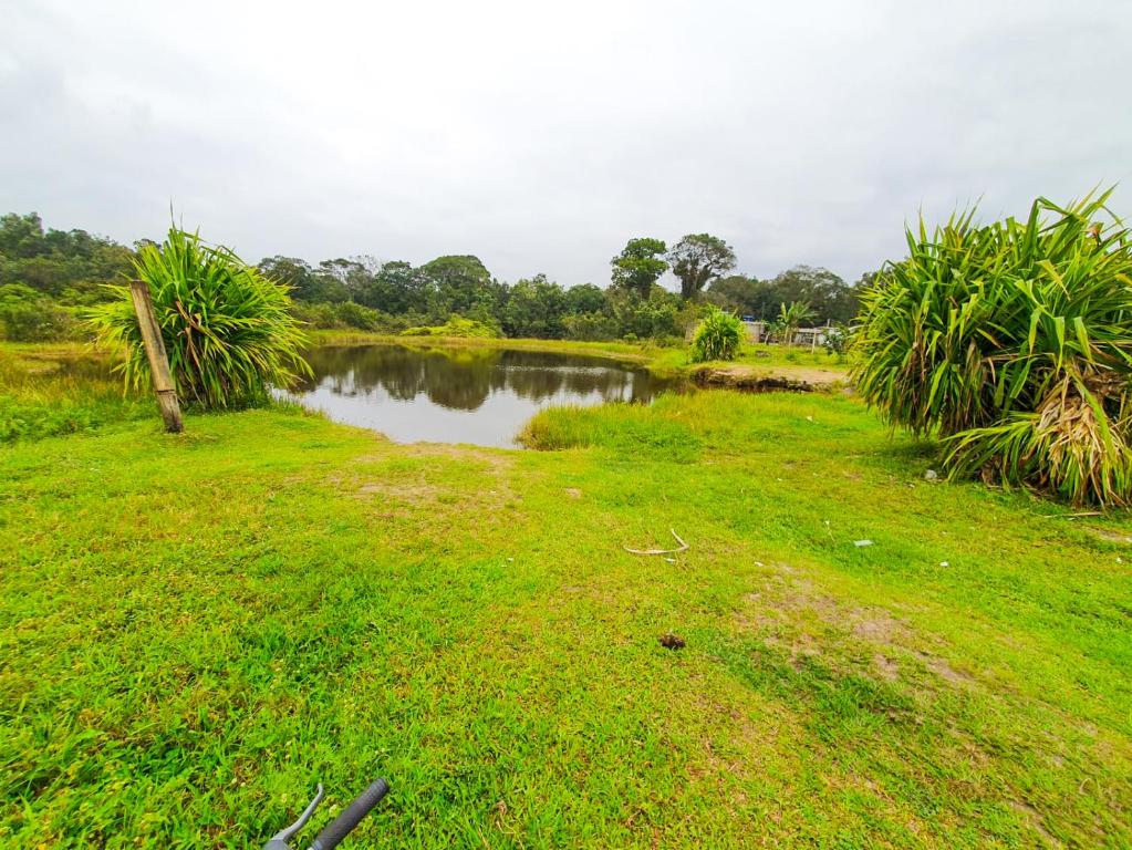 un petit étang dans un champ avec de l'herbe verte dans l'établissement Casa Com Piscina - Mongaguá - Disponível Feriado Carnaval, à Mongaguá