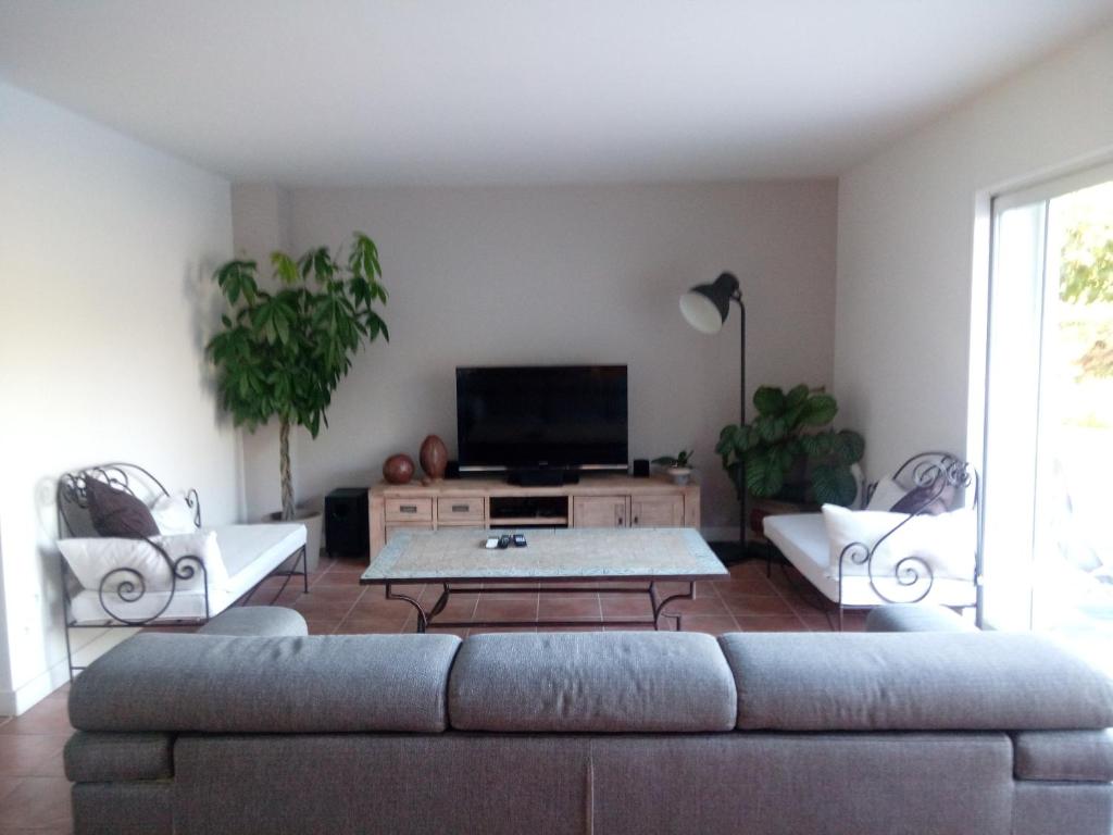 sala de estar con sofá y TV en Marseille et sa Campagne Chic, en Allauch