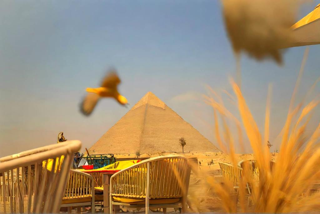 Φωτογραφία από το άλμπουμ του Pyramids MagiC View Hotel στο Κάιρο