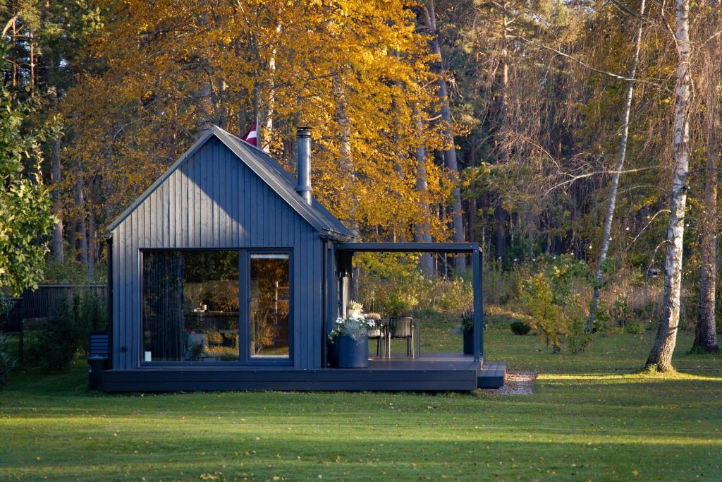 a blue shed with a table in the grass at Baltrozes in Ādaži