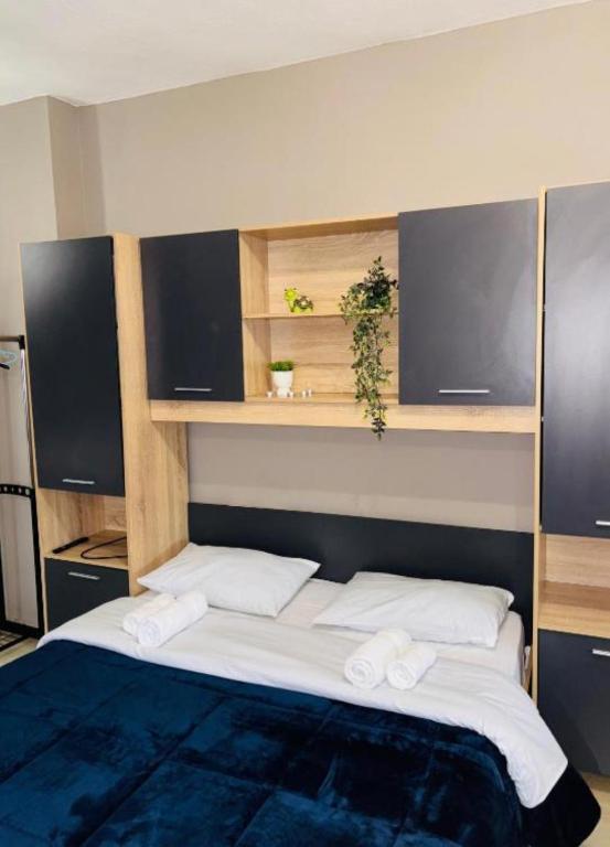 um quarto com uma cama grande com dois travesseiros em Downtown Studio 31 em Serres