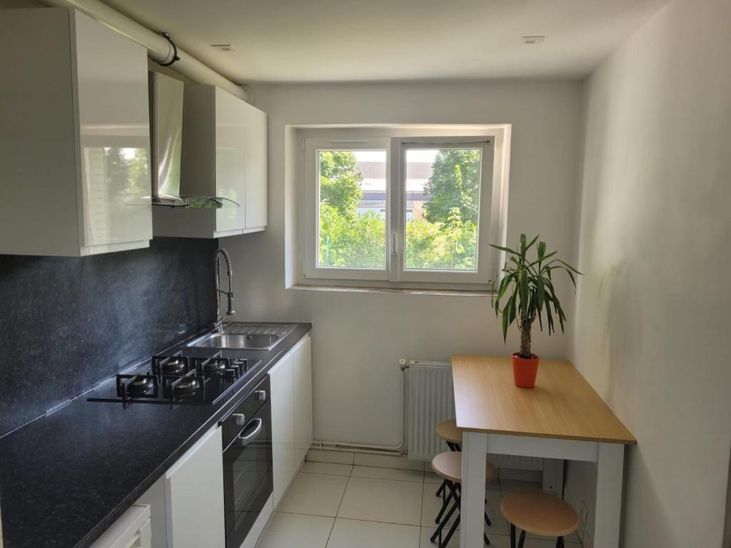 a kitchen with a stove and a table with a potted plant at Appartement standing proche centre rocade PARC colombiere wifi in Dijon