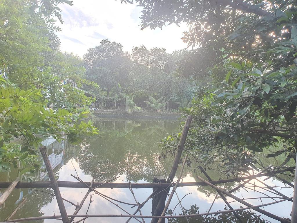 Příroda nedaleko venkovského domu