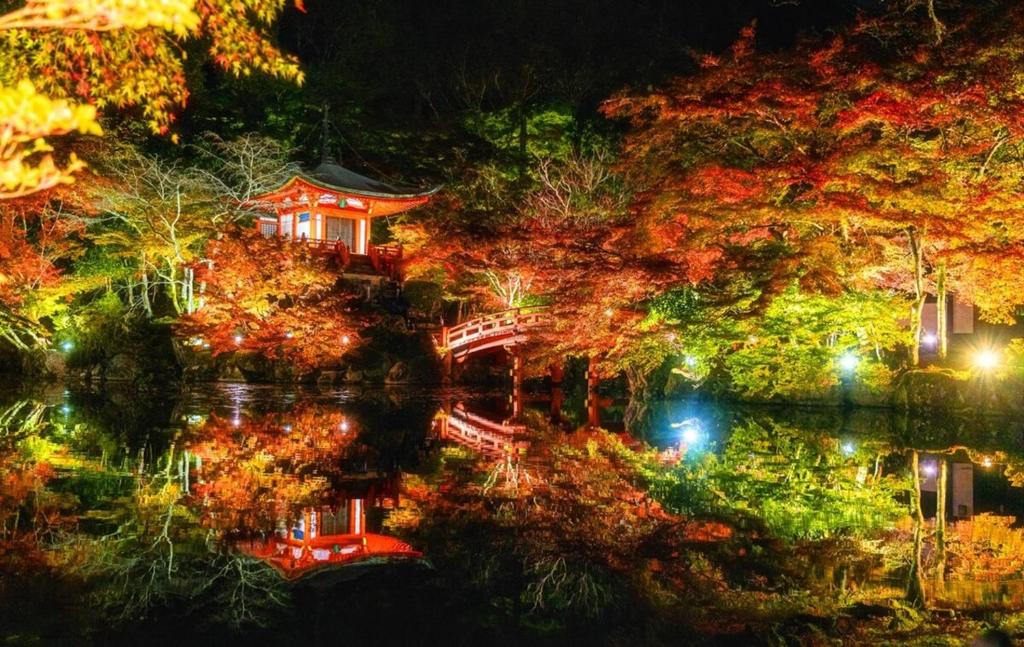 Ein Garten an der Unterkunft ミラージュ宿 2025年5月オープン 京都芸術 1軒家貸切