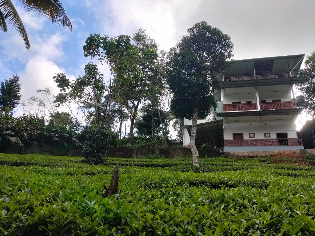 a white building in a field with trees at Monte Sereno Munnar in Anachal