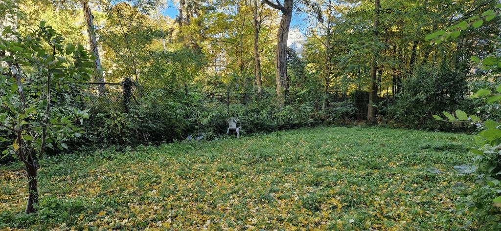 un jardín con una silla en medio de un patio en Simply GENIUS - Camping, en Berlín