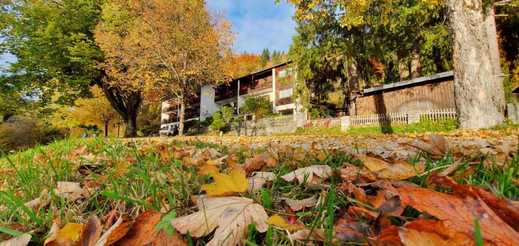 Zahrada ubytování Hotel Ruchti - Zeit für mich