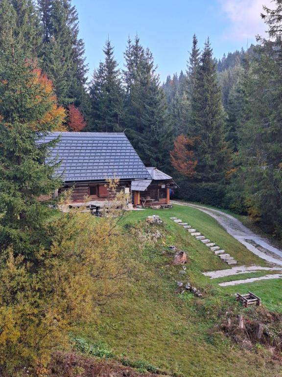 Příroda nedaleko apartmánu