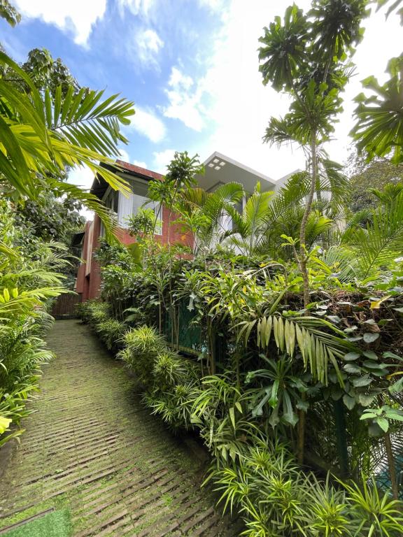 a garden with trees and plants on a brick path at Casa Calma - 2BHK Luxury Villa with Private Pool by evaddo in Siolim