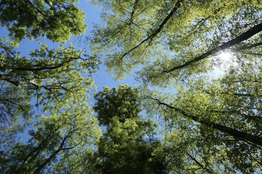 Φυσικό τοπίο κοντά σε αυτή η παραθεριστική κατοικία
