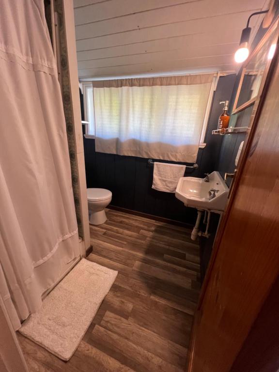 a bathroom with a toilet and a sink at Hosteria CASA MILLER B&B FRENTE AL MAR in Bahía Mansa