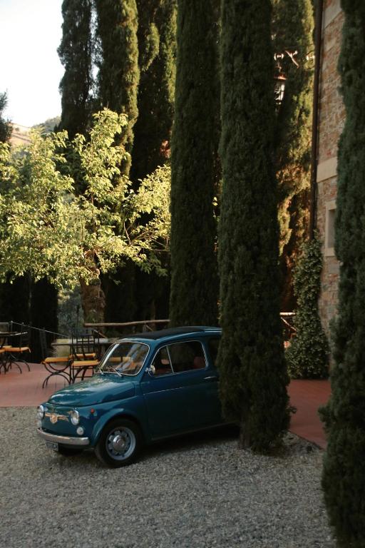 Terre di Baccio