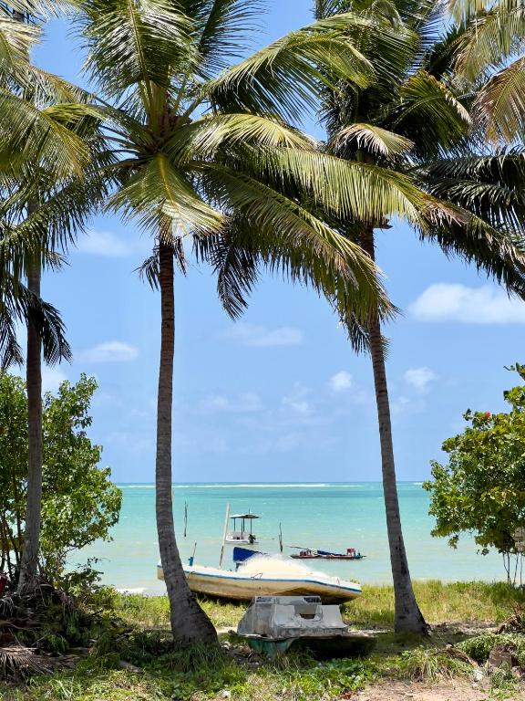 a boat on the beach between two palm trees at Evva Pousada in Pôrto de Pedras