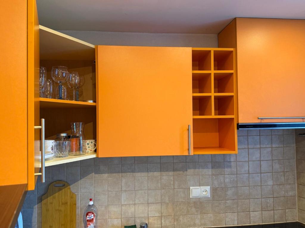 Køkken eller tekøkken på Fricis Appartment