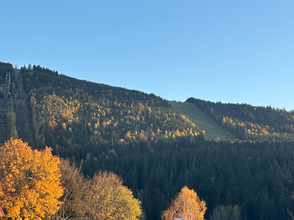 an autumn view of a mountain with trees on it at Penzion Verde Rosa in Harrachov
