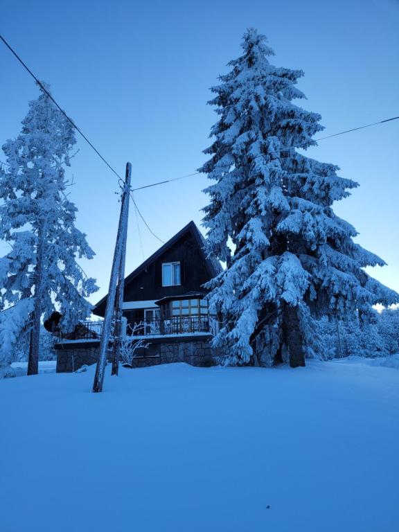 a log cabin in the snow with trees at Sojka in Divčibare