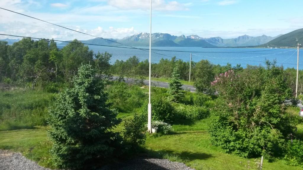 a view from a house with a tree and a road at Fjord House in Fornes