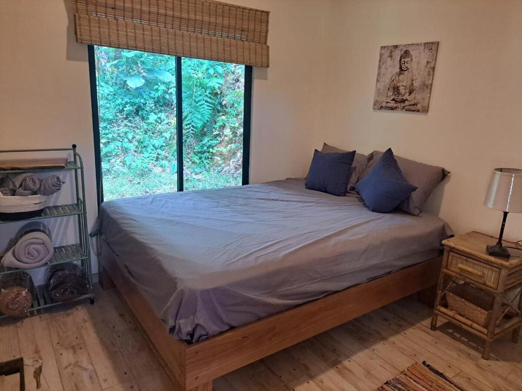 a bedroom with a bed with blue pillows and a window at Casa Alma in Platanillo