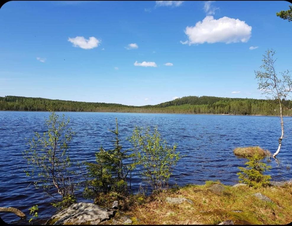 Mysig Fin stor stuga för 8 personer både på sommar och vinter!