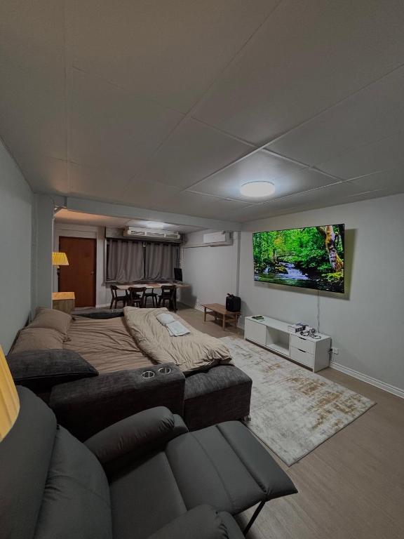 Mango Hostel – 420 Friendly