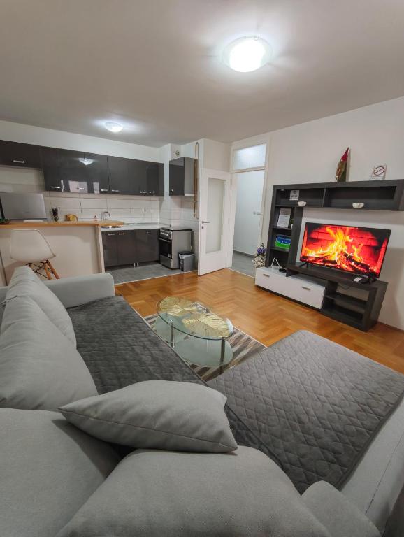 a living room with a couch and a fireplace at Apartman Harmony in Lukavica