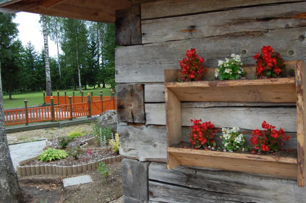 Zahrada ubytování Spa Glamping