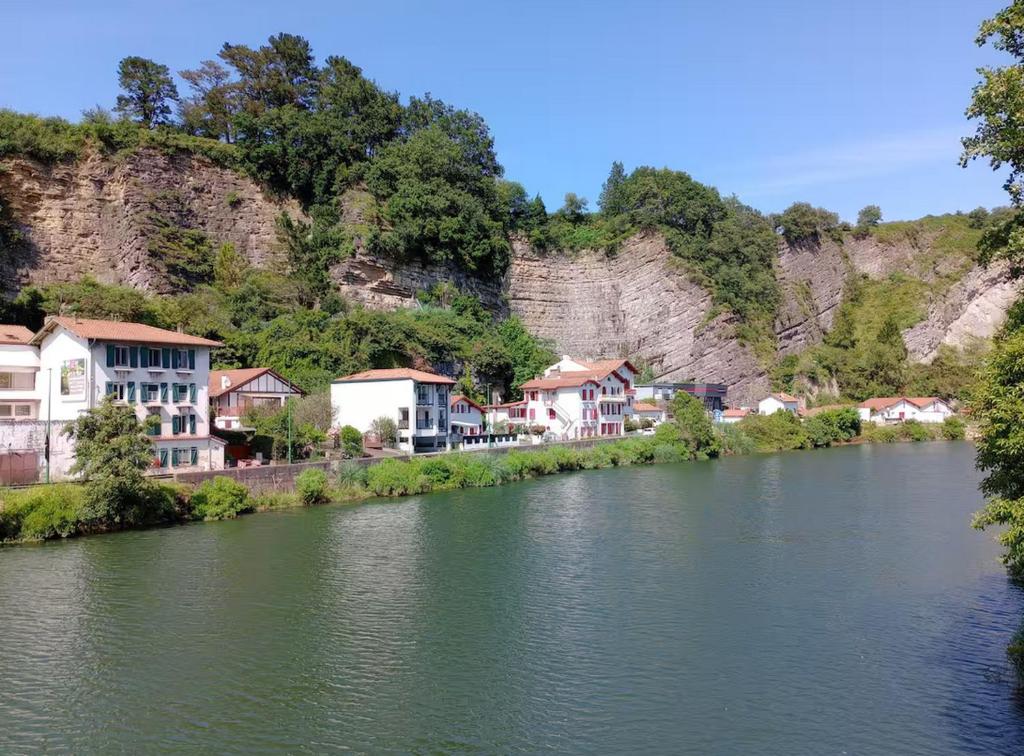 a river with houses on the side of a mountain at Appartement Béhobie in Urrugne