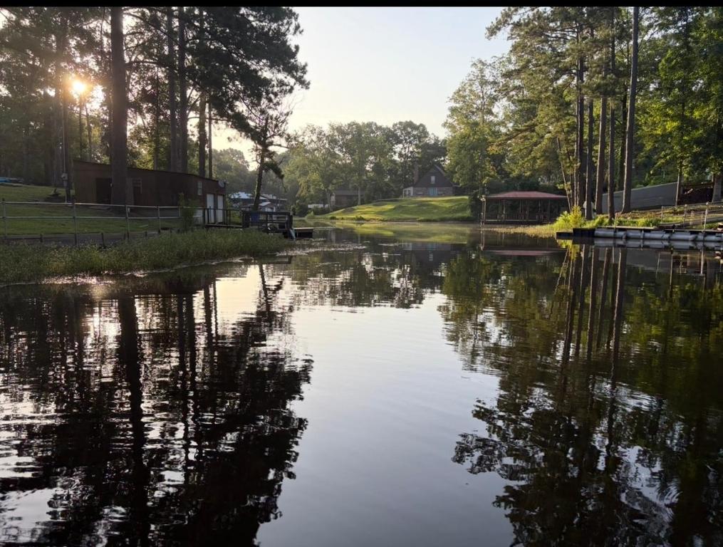 a pond in a park with the reflection of trees in the water at Angler's Dream Stay! in Hemphill