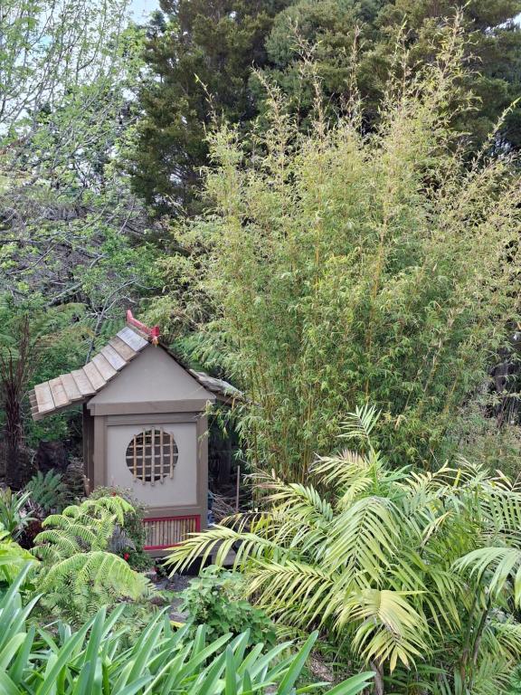 Κήπος έξω από το The Tawnys