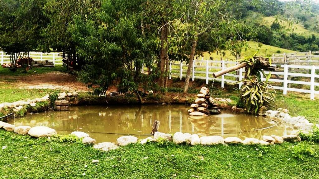 Naturlandschaft in der Nähe des Ferienhauses