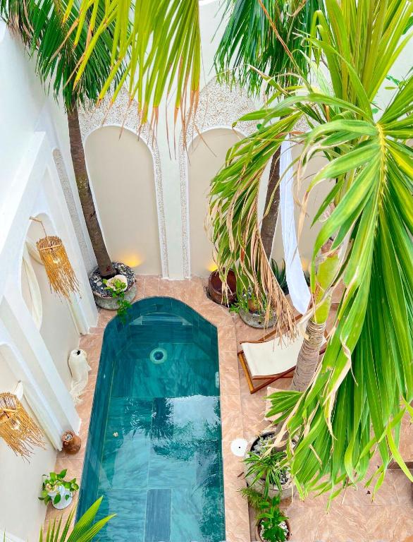 an indoor swimming pool with palm trees and plants at Terralia Villa in Lagi