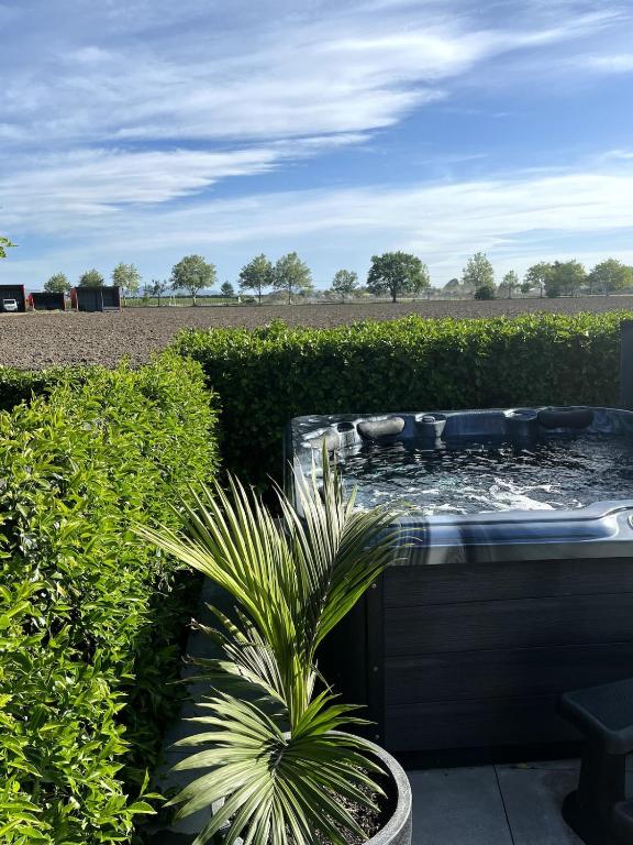 a plant sitting next to a fountain in a garden at Pool, Spa pool, Private, Modern, Clive! in Clive