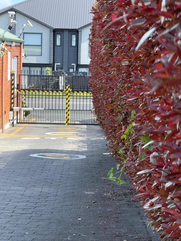 Motel Homestead - Resim 24